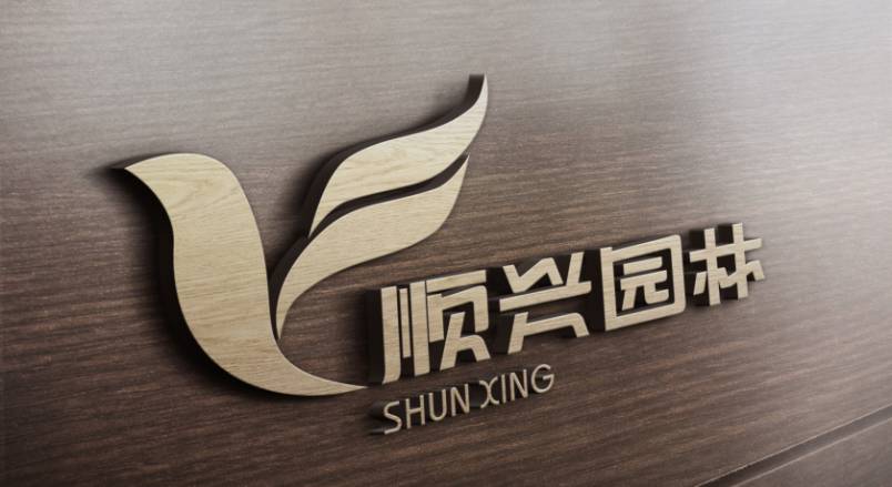 怀宁县VI设计：城市品牌蝶变的核心引擎